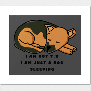 Sleeping dog T-shirt Posters and Art